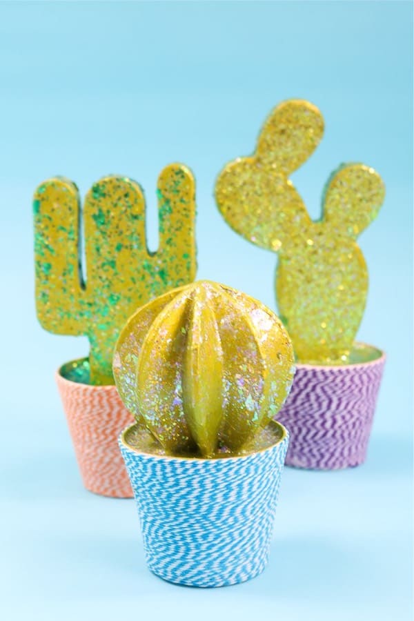 cute craft tutorial idea with cactus theme