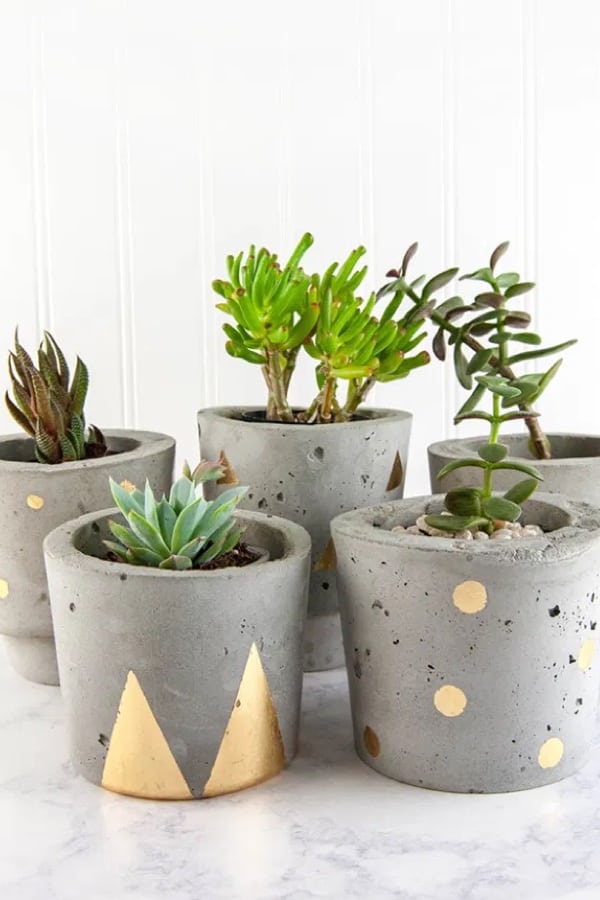 diy pots for plants with concrete