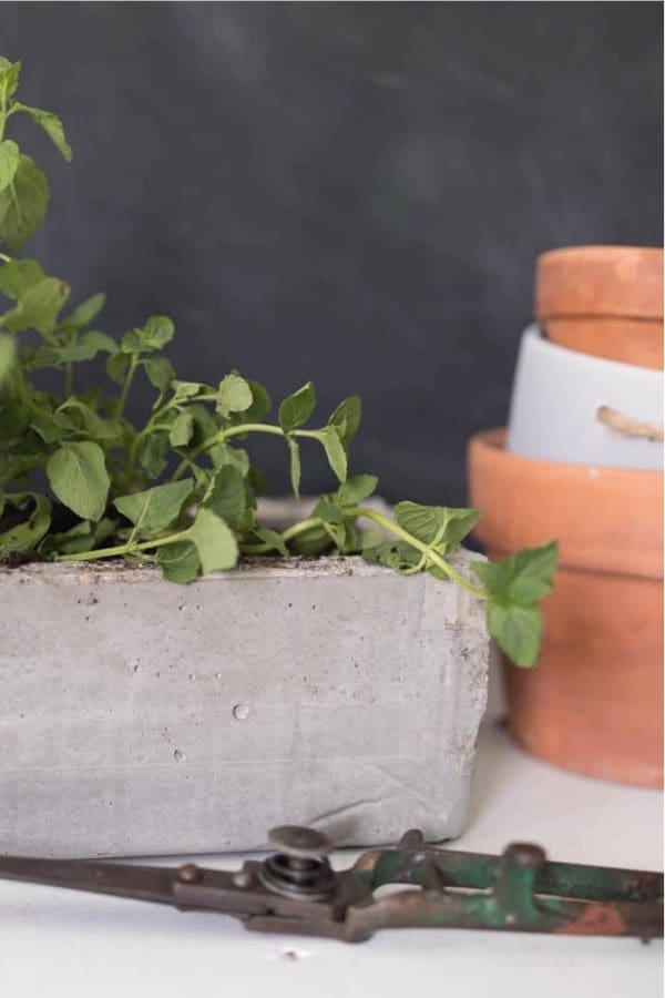 quickcrete planter box to make at home