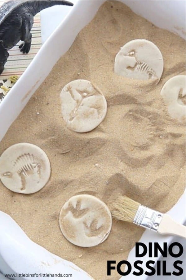 sandbox kids craft with fossils
