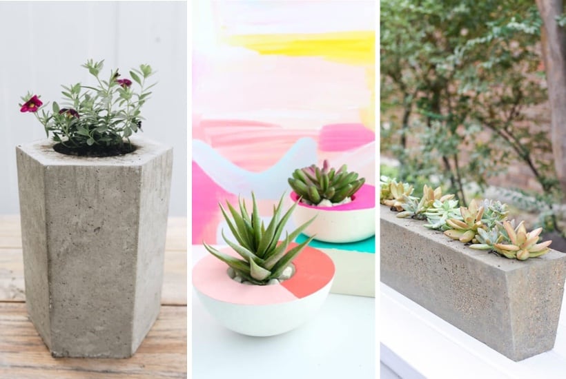 20+ Best DIY Concrete Planters & Tutorials For 2024