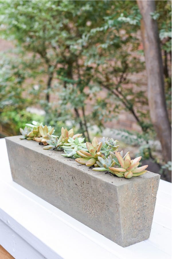 diy mold tutorial for cement planter box