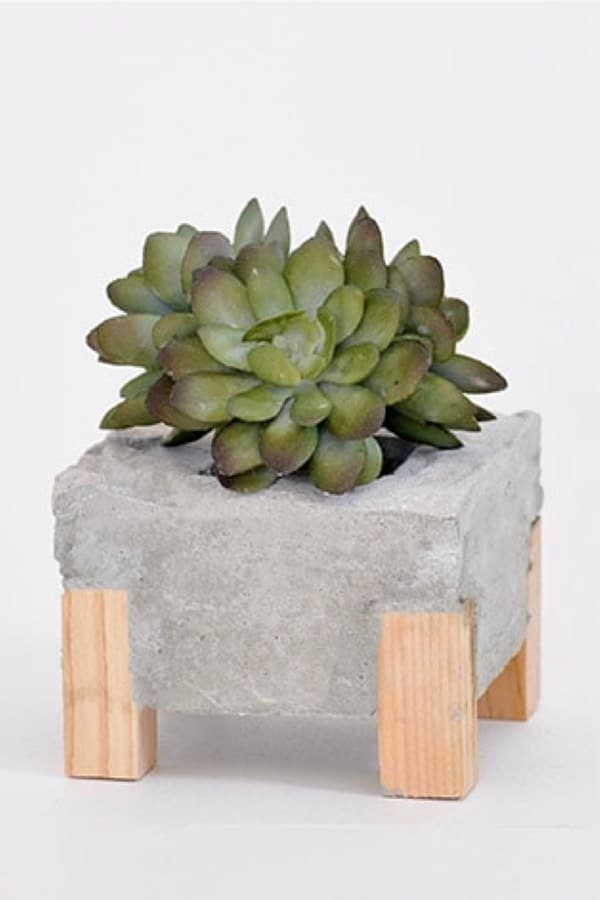 mini succulent planter with wooden feet