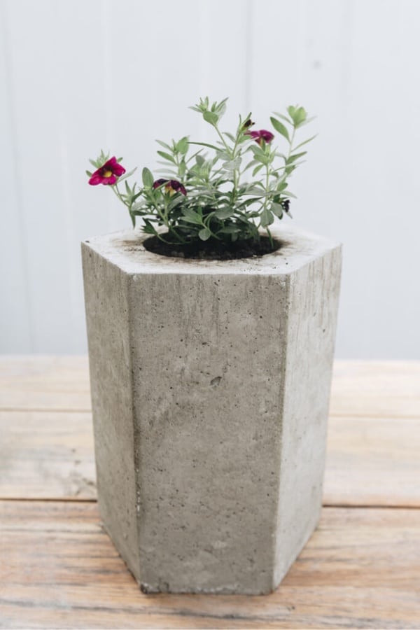 tutorial to make cement planters at home