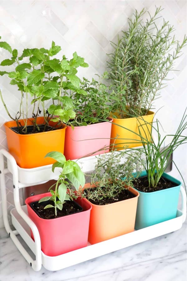 counter top diy herb planter tutorial