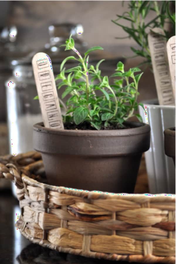 make your own small herb pots