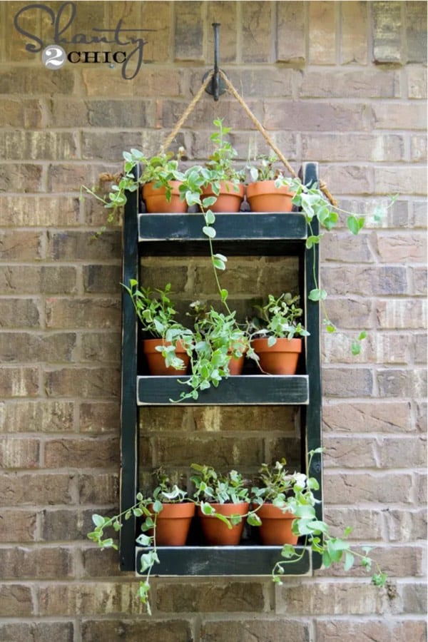 2x4 wall planter for small herbs