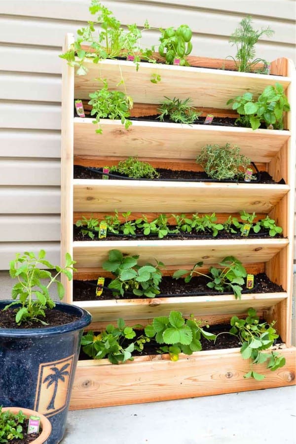 backyard planter box for herbs