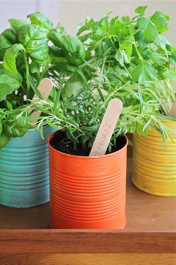 tin can planter tutorial for small herbs