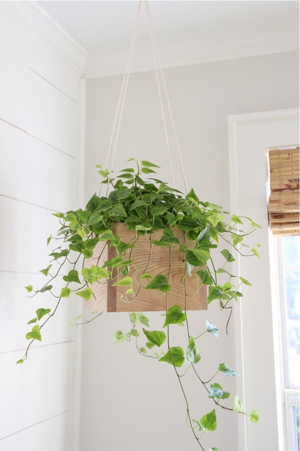 wooden diy hanging planter for indoors