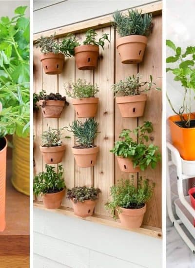 easy to make herb gardens
