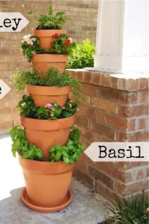 basil and thyme diy planter for outside