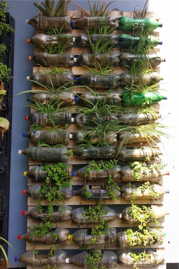 creative idea for cheap herb garden
