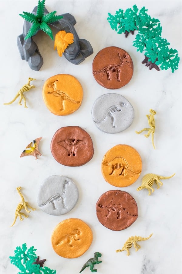 cheap dinosaur craft project with fossils