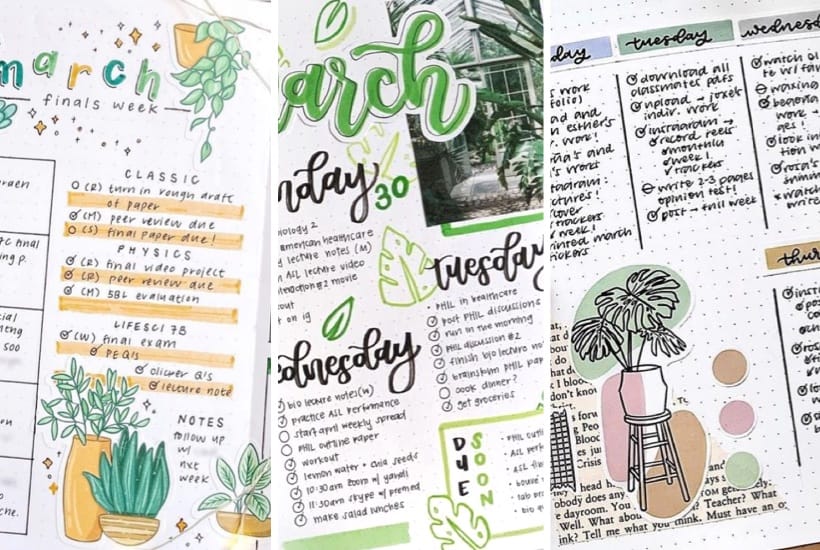 20+ Best Plant Theme Weekly Spreads For Bujos