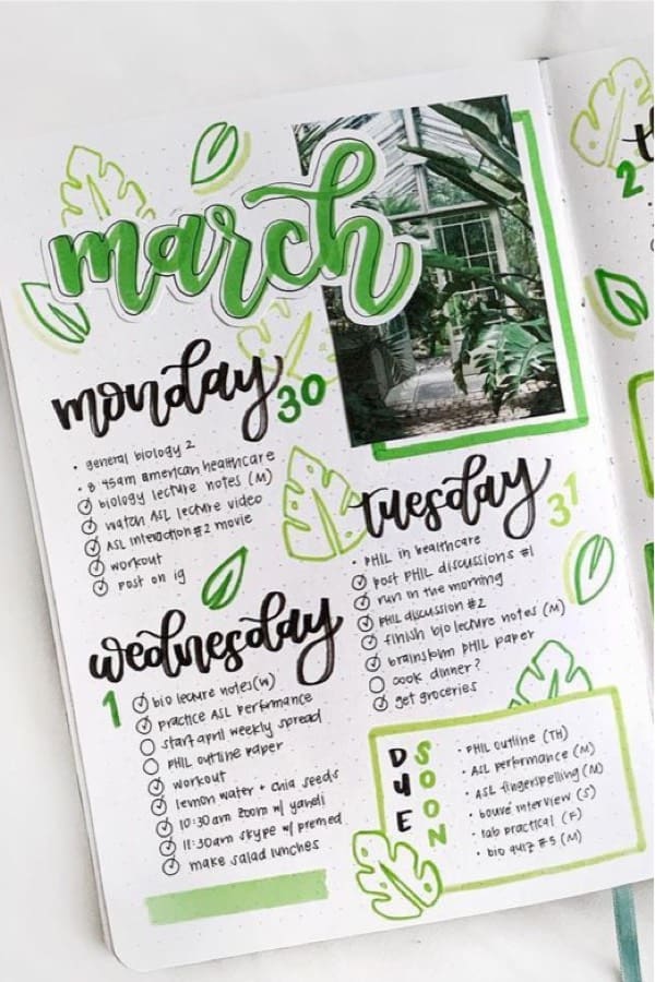 best weekly spreads with plant theme