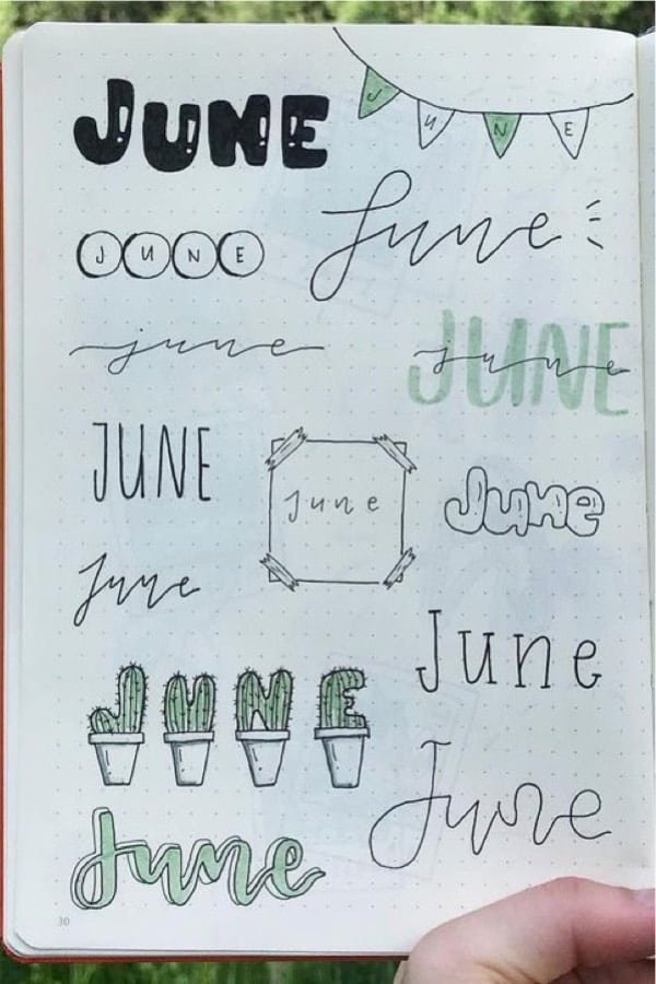 june bullet journal headers with cactus theme