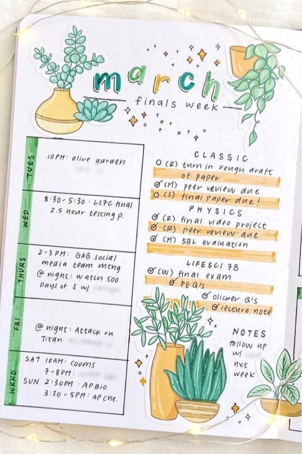 bullet journal spread inspo with succulents