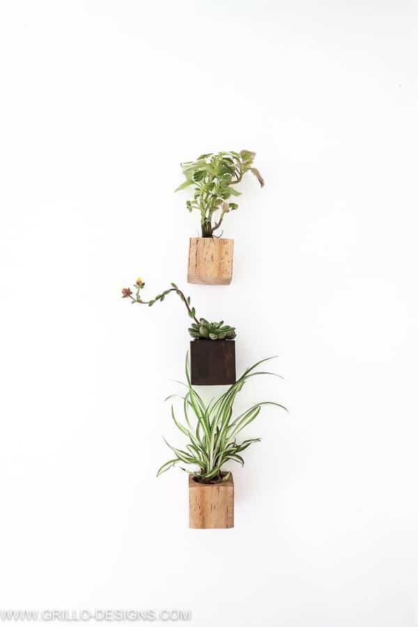 mini succulent planter diy craft example