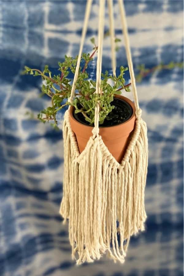 fringe tassel rope diy plant holder