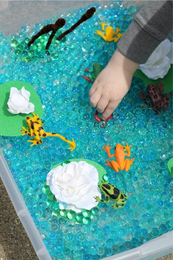 sensory bin craft with frogs