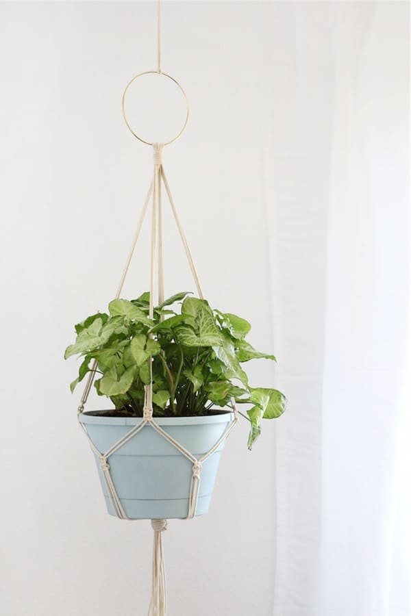 cheap to make plant hanger with macrame