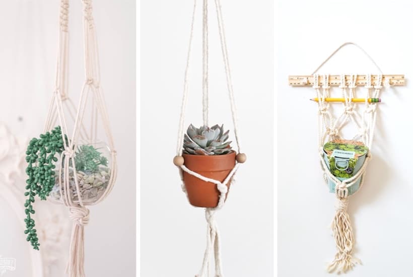 20+ Easy To Make DIY Macrame Plant Hangers for 2024