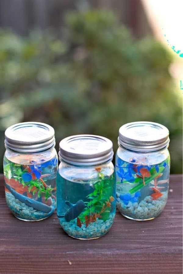 mini mason jar ocean aquarium for kids