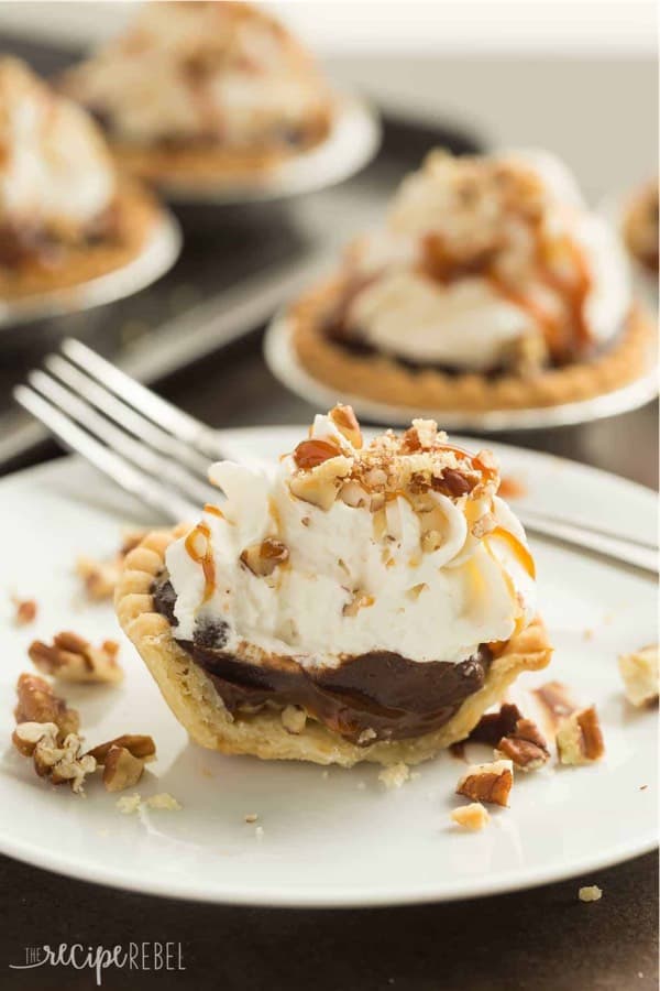 turtle pudding pie dessert example