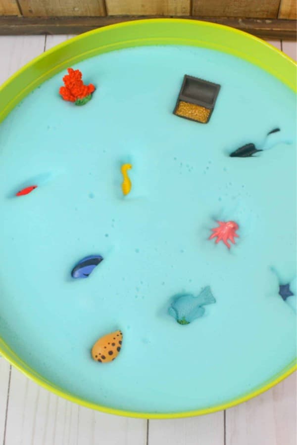 sensory bin for kids with ocean theme