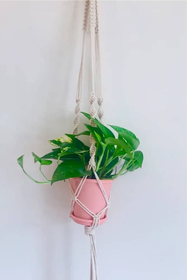cheap to make macrame hanger for indoor plants