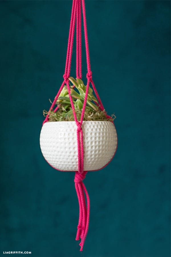 small succulent plant haner with pink macrame