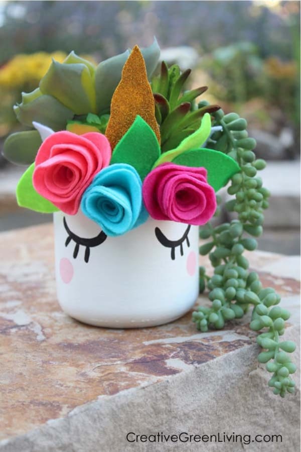 mini succulent planter for kids