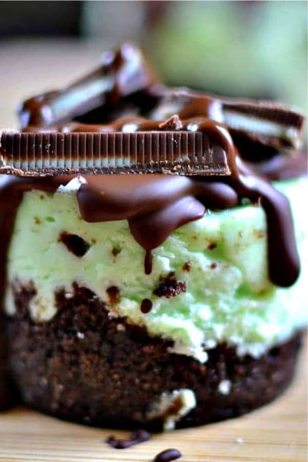 chocolate and mint mini cheesecake recipe