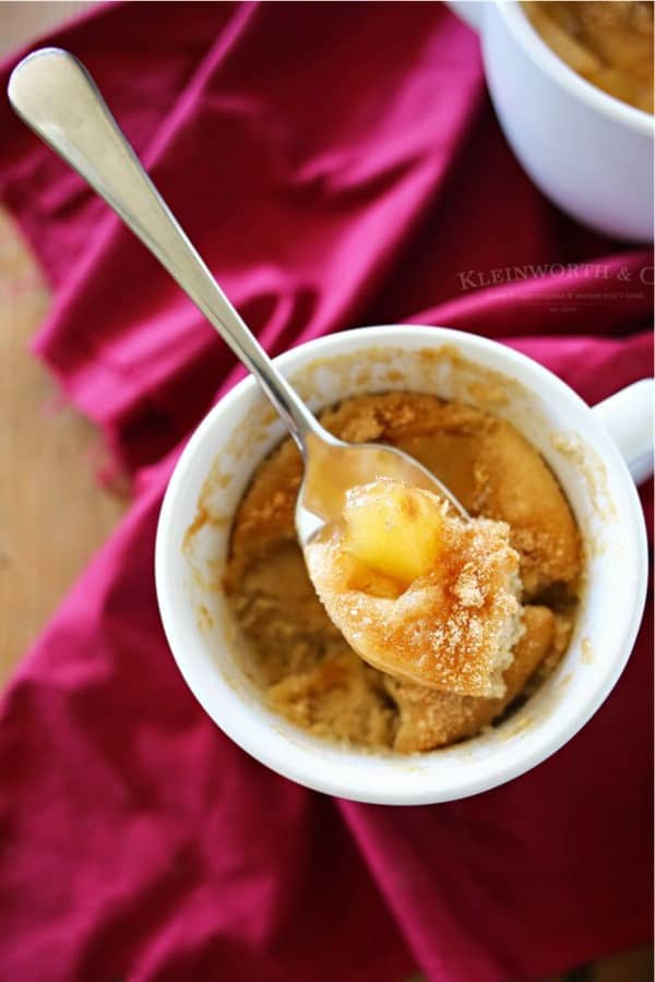 best mug cake recipe for apple pie