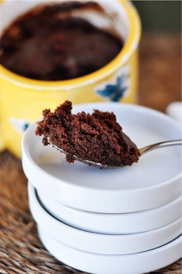 two minute mug cake recipe with chocolate