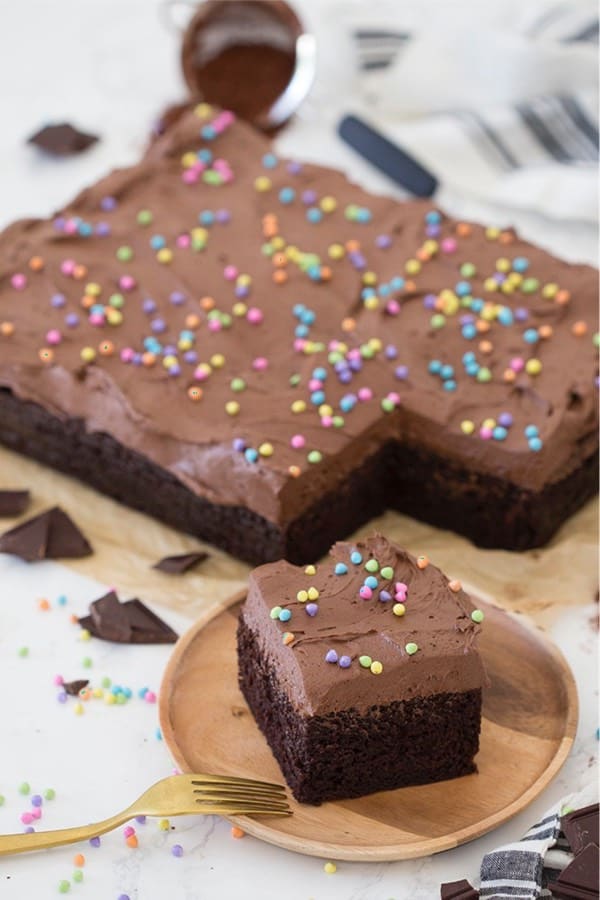double chocolate cake with sprinkles