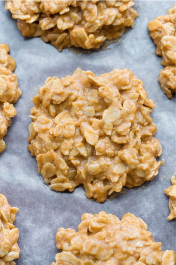 no bake cookie recipe example with peanut butter