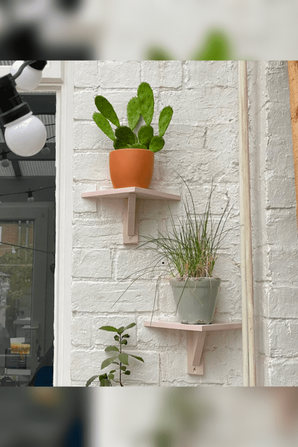 Triangle Shelf with Potted Plant