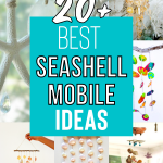 20+ Best Seashell Mobile Ideas (Pinterest Pin)