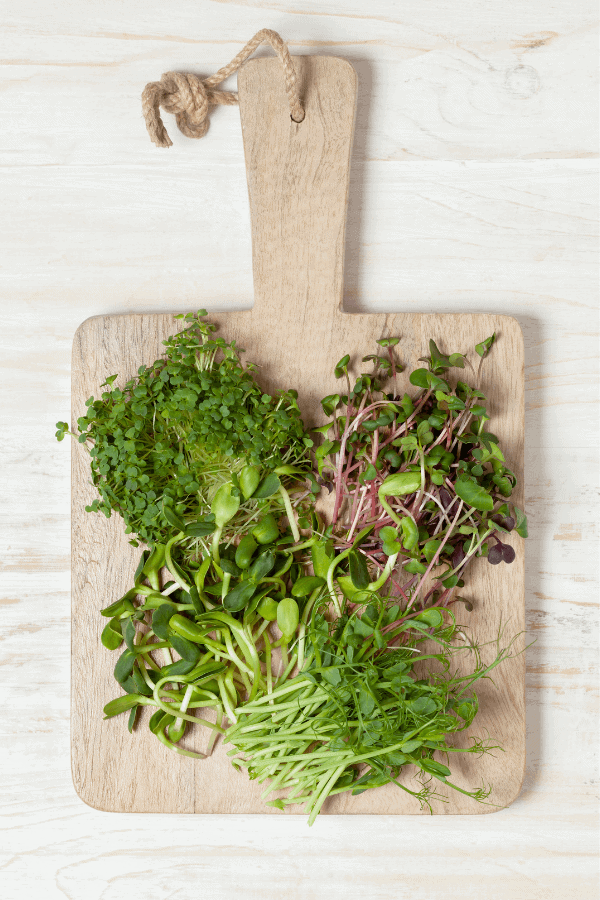 mix of microgreens on a wooden board