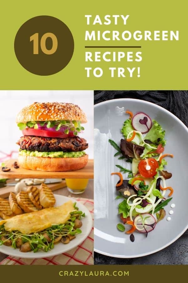 Tasty Microgreen Recipes to Try