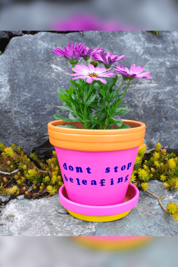 Painted Pots with Puns