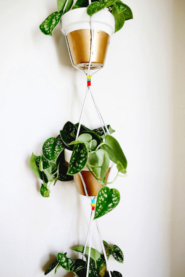 Gold Dipped Hanging Planter