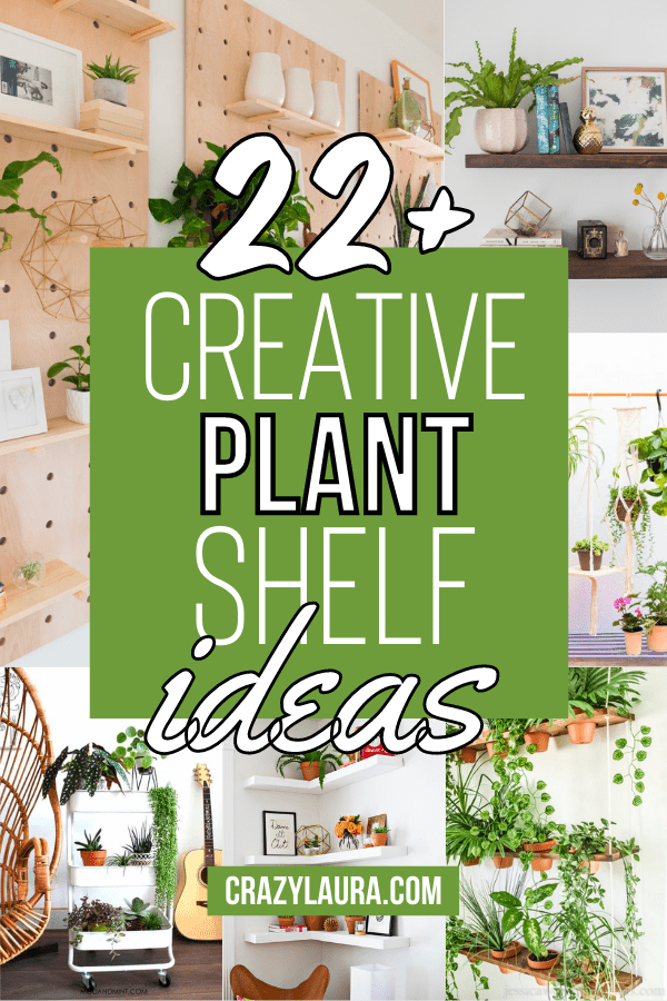 22+ Creative Plant Shelves Ideas (Pinterest Pin)