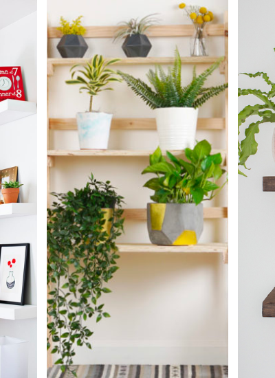 22+ Creative Plant Shelves Ideas (Featured Post)