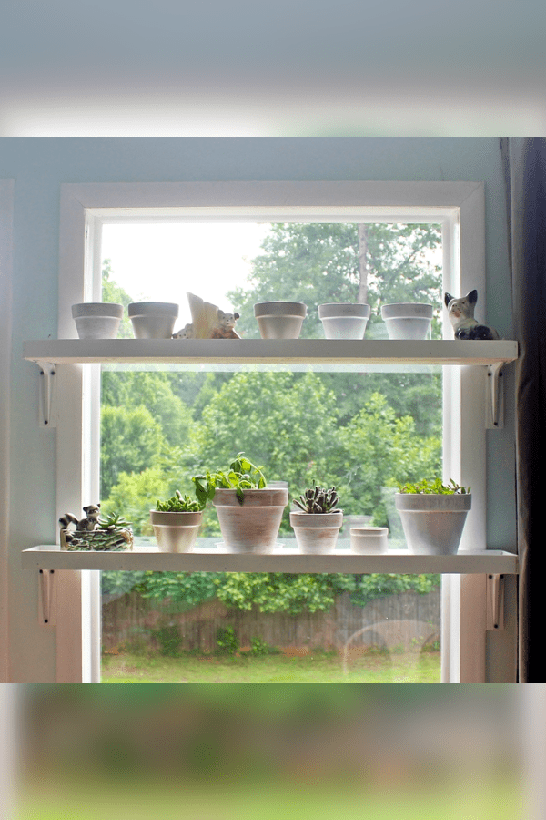 Window Plant Shelf