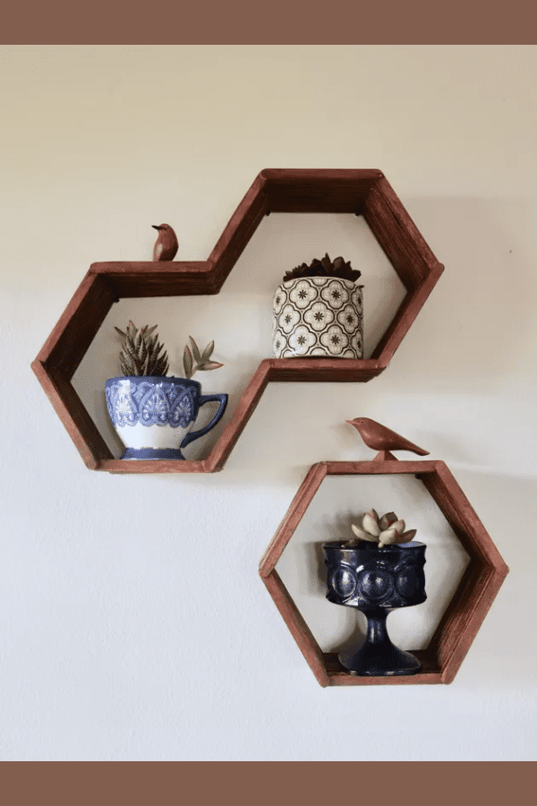 Hexagon Honeycomb Shelves