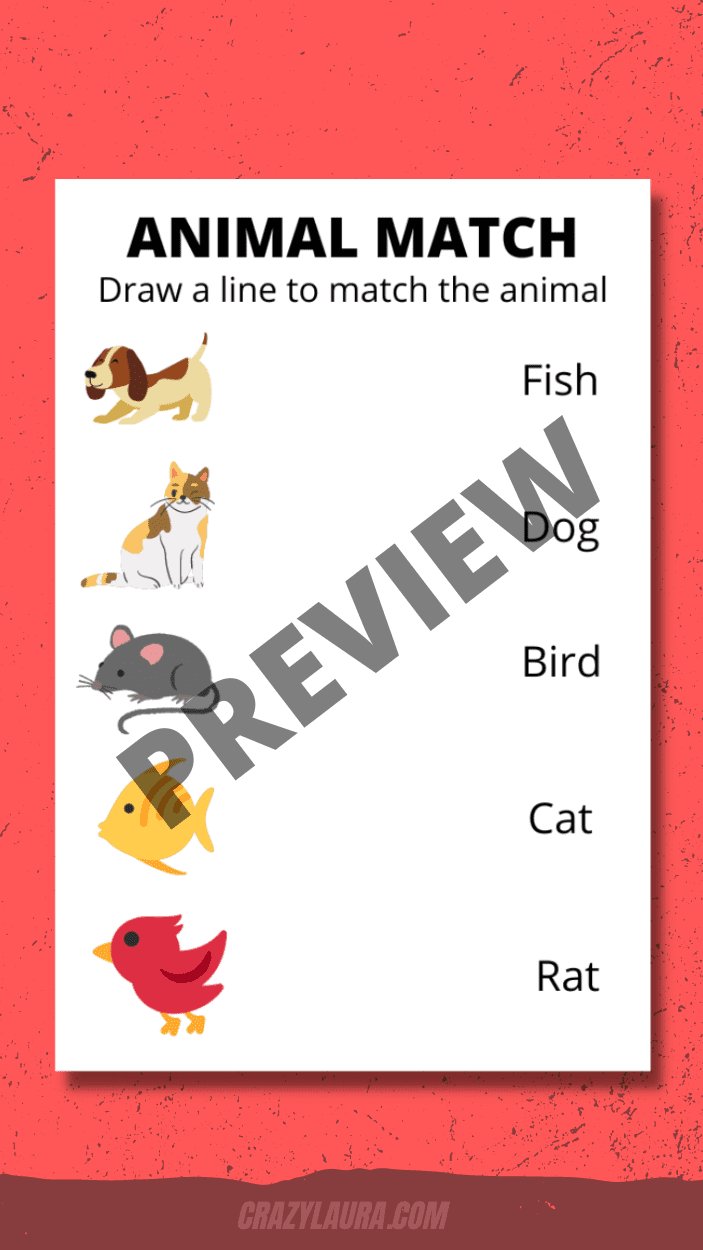 Animal Matching Worksheet