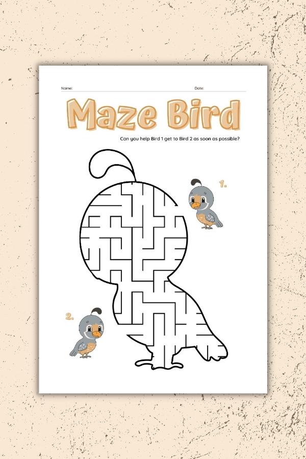 MAZE BIRD GAME WORKSHEET